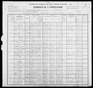 1900 United States Federal Census