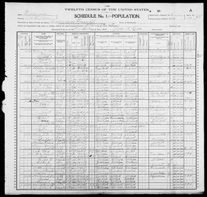 1900 United States Federal Census