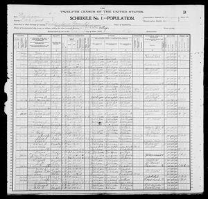 1900 United States Federal Census