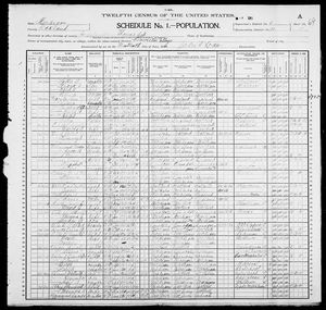 1900 United States Federal Census