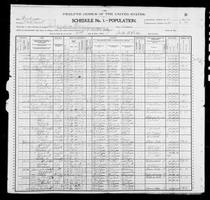 1900 United States Federal Census