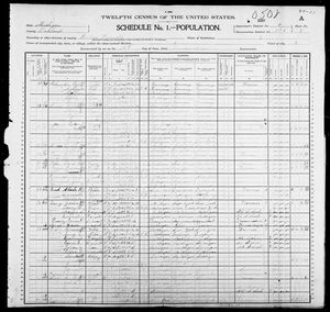 1900 United States Federal Census