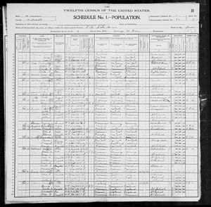 1900 United States Federal Census