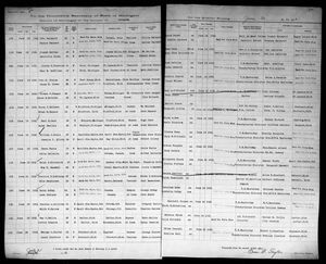 Michigan, U.S., Marriage Records, 1867-1952