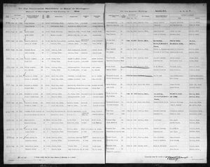 Michigan, U.S., Marriage Records, 1867-1952