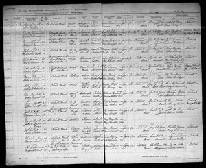 Michigan, U.S., Marriage Records, 1867-1952