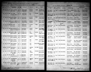 Michigan, U.S., Marriage Records, 1867-1952