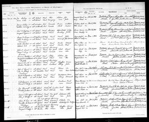 Michigan, U.S., Marriage Records, 1867-1952