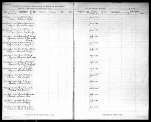 Michigan, U.S., Marriage Records, 1867-1952