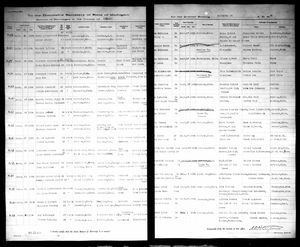 Michigan, U.S., Marriage Records, 1867-1952