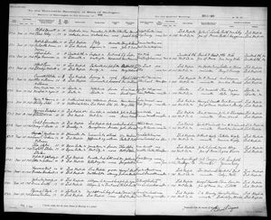 Michigan, U.S., Marriage Records, 1867-1952