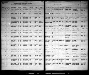 Michigan, U.S., Marriage Records, 1867-1952