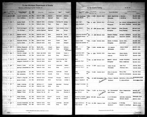 Michigan, U.S., Marriage Records, 1867-1952