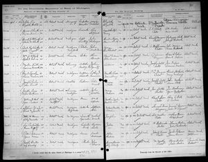 Michigan, U.S., Marriage Records, 1867-1952