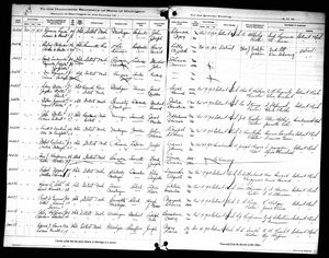 Michigan, U.S., Marriage Records, 1867-1952