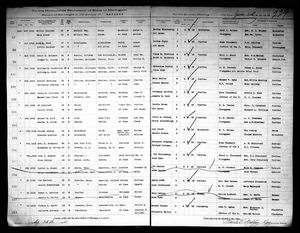 Michigan, U.S., Marriage Records, 1867-1952