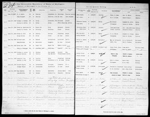 Michigan, U.S., Marriage Records, 1867-1952