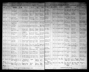 Michigan, U.S., Marriage Records, 1867-1952