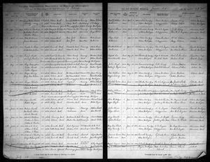 Michigan, U.S., Marriage Records, 1867-1952