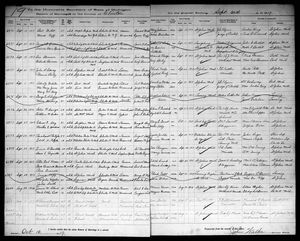 Michigan, U.S., Marriage Records, 1867-1952