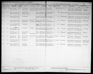 Michigan, U.S., Marriage Records, 1867-1952