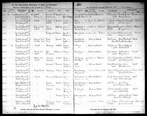 Michigan, U.S., Marriage Records, 1867-1952