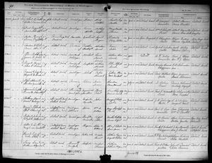 Michigan, U.S., Marriage Records, 1867-1952