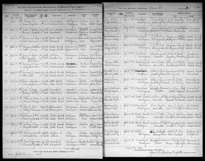 Michigan, U.S., Marriage Records, 1867-1952