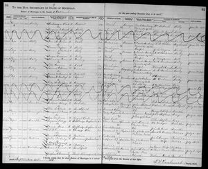 Michigan, U.S., Marriage Records, 1867-1952