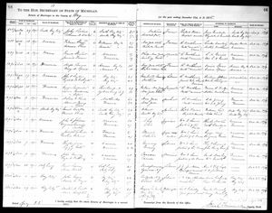 Michigan, U.S., Marriage Records, 1867-1952