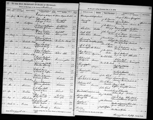 Michigan, U.S., Marriage Records, 1867-1952