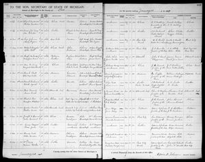 Michigan, U.S., Marriage Records, 1867-1952