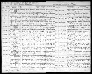 Michigan, U.S., Marriage Records, 1867-1952