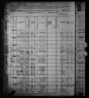 1880 United States Federal Census