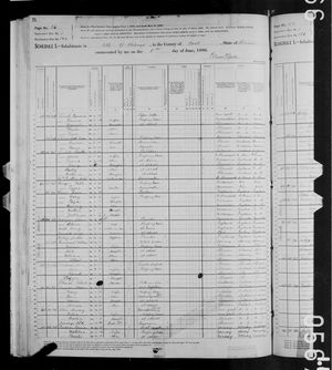 1880 United States Federal Census