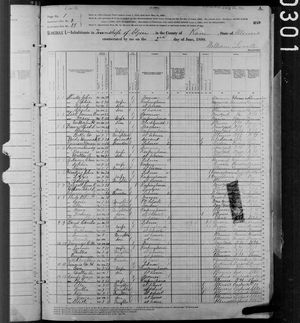 1880 United States Federal Census