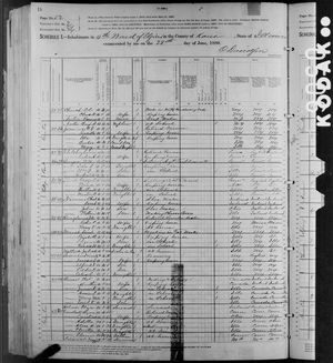 1880 United States Federal Census