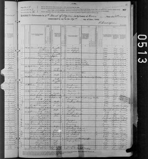 1880 United States Federal Census