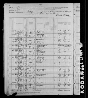 1880 United States Federal Census