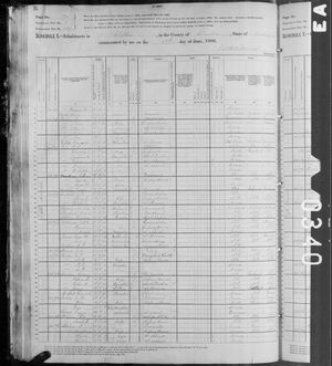 1880 United States Federal Census