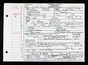 Pennsylvania, U.S., Death Certificates, 1906-1969