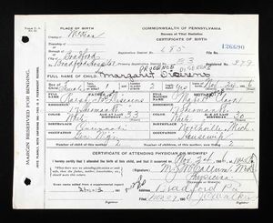 Pennsylvania, U.S., Birth Certificates, 1906-1913