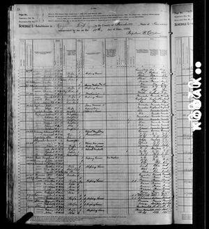 1880 United States Federal Census