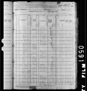 1880 United States Federal Census