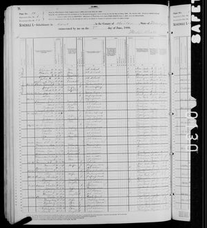 1880 United States Federal Census