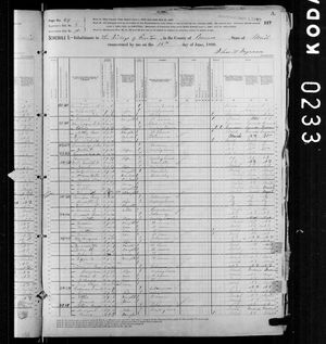 1880 United States Federal Census