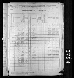 1880 United States Federal Census