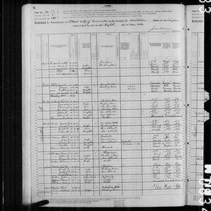 1880 United States Federal Census