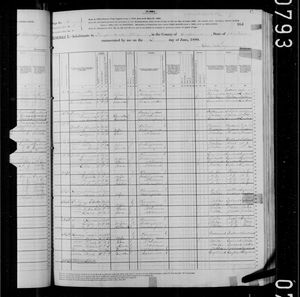 1880 United States Federal Census