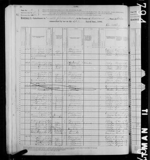 1880 United States Federal Census